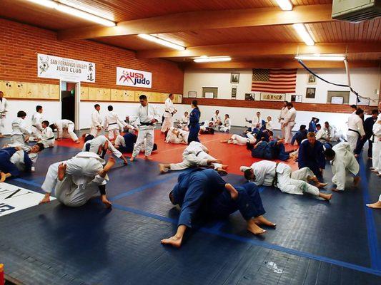 San Fernando Valley Judo Club