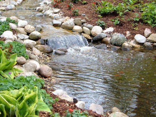 Upstream Waters Landscape