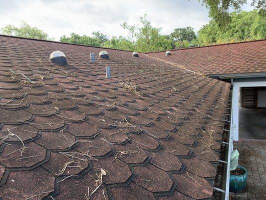 Roof washing and brick washing make such a difference!