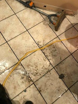 Water Damage Crown Heights