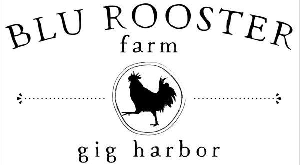 Blu Rooster Farm...our very own Blue Andalusian Rooster.