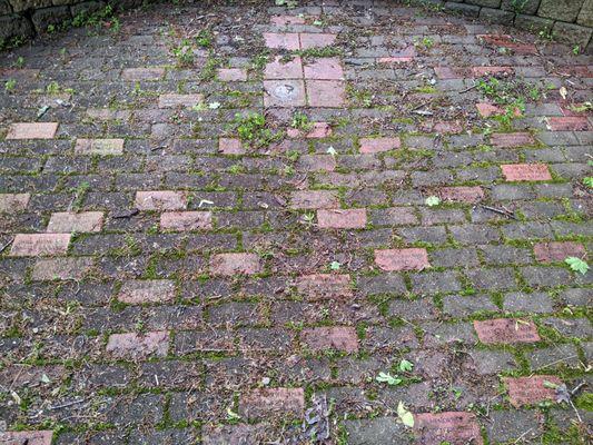 Memorial garden with moss and detritus making the bricks illegible.