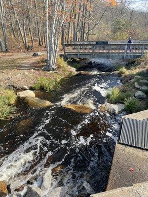 Looking downstream from fish ladder at Bellevue Pond