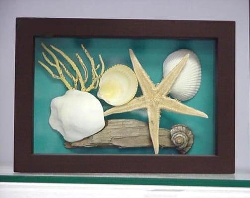 Seashell Shadow Box