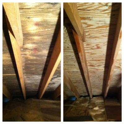 Before & after attic mold removal