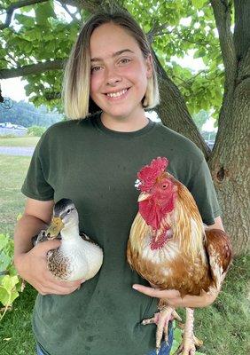 Farm fowl