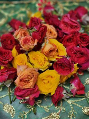 Button Roses Mixed colored flowers