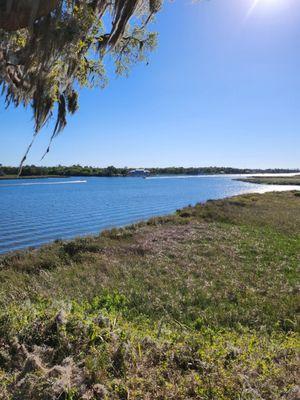 View of Crystal river from park