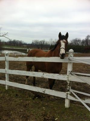 Rolling Hills Stable