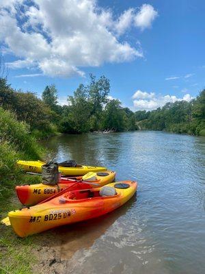 Manistee River