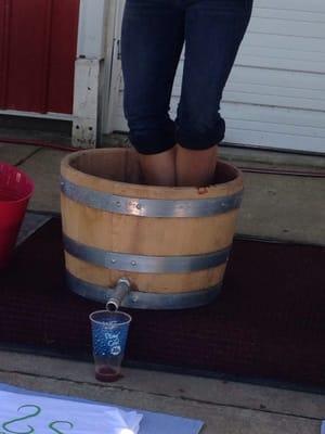 Grape stomping festival!