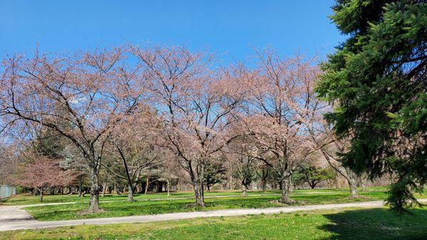 Fairmount Park