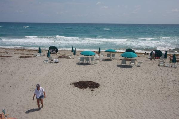 The Beach - Frenchman's Creek Beach Club in Juno Beach, Florida