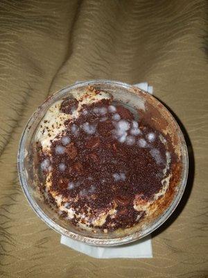 Mold spores on top of my order of the homemade tiramisu