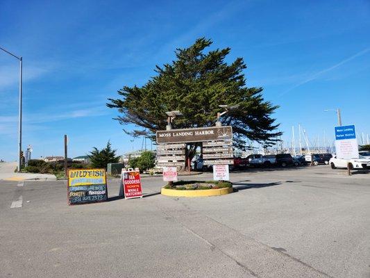 If you see the Wild Fish Boat Benicia sign, outside Moss Landing Harbor. Follow and get your fresh fish!