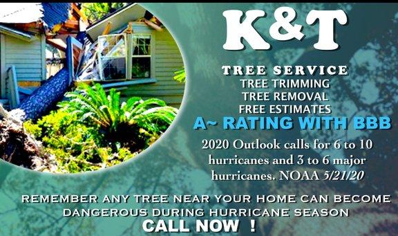 K&T Tree Service