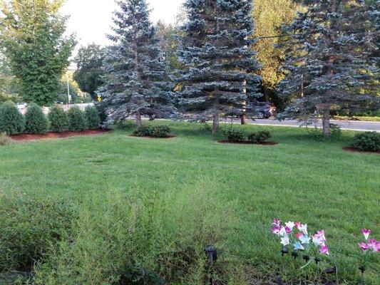 They did the mulch around my arbs and rhodies that I only wish were planted by Richard's crew instead of the hack I regret paying.