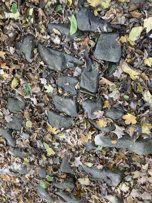 Cobblestones on the Wilderness Road