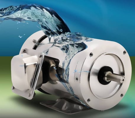 Stainless Steel Washdown Motor