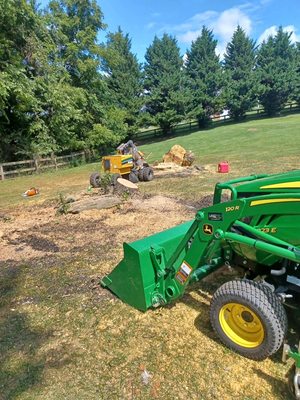 Tree removal and stump grinding