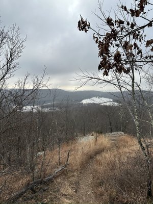 Ramapo Mountain State Forest