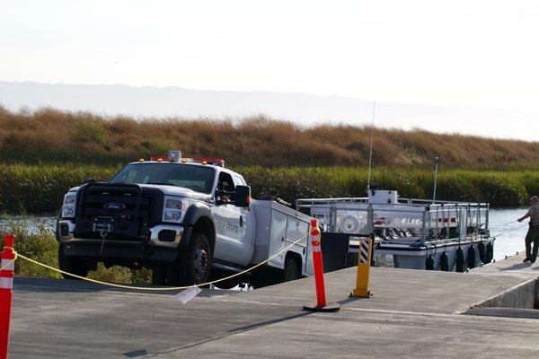 🏞️Santa Clara County Parks Salt Marsh Safari🏞️