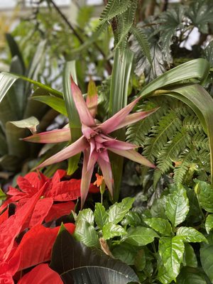 Botanical Gardens at Asheville