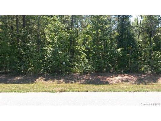 4 +/- acres along the shores of Blewett Falls Lake - Interior Lot - Gated Community - Rockingham, NC