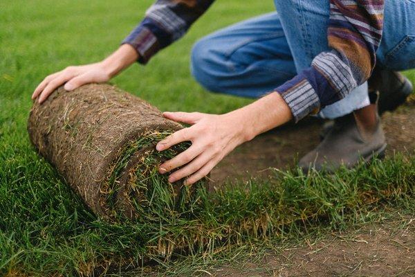 United Landscaping & Tree Service