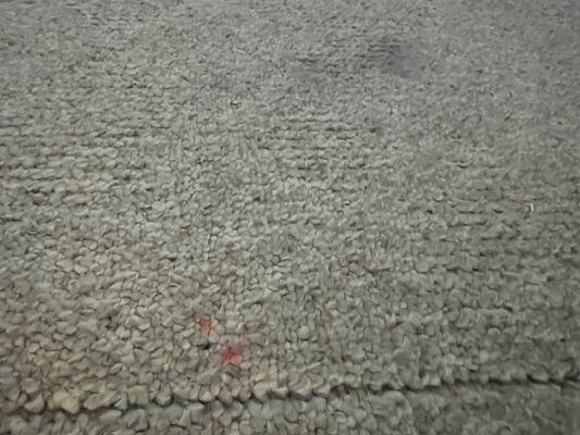 one of many stains on carpet