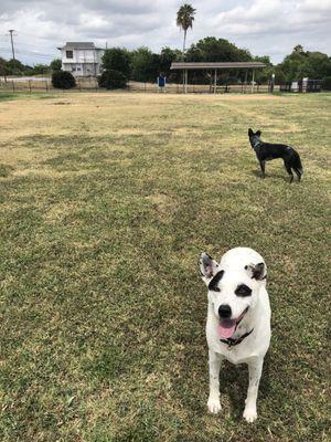 Whole park to ourselves! Need some friends to play with!