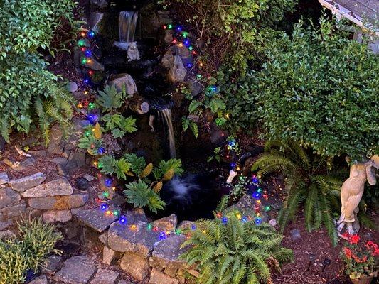 View of the Courtyard at the Edwin K Bed & Breakfast