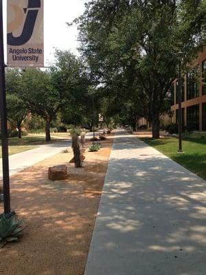 The "Mall"! Where you can find every academic building on campus.