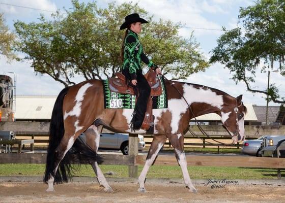 Performance Equine Veterinary Services