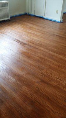 Refinished floor