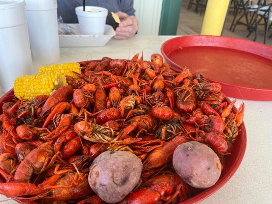 Crawfish