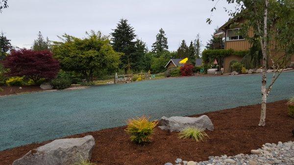 Olympia Hydroseeding