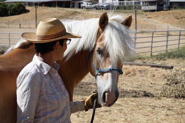 Sissy Cortez and Sundance the Wonder Horse!