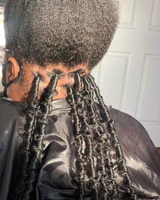 Mid back Butterfly locs