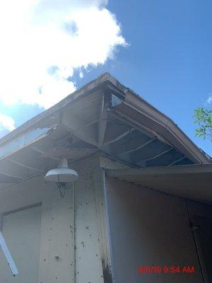 Flat roof job, trees growing out of roof and water leaking in everywhere.