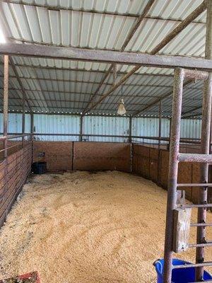 Large stalls for large horses and mares in foal