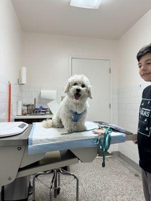 Bodhi being a good boy at his 1yr 2 mo check up.