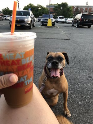 Meet Martha and Dunkin' Donuts