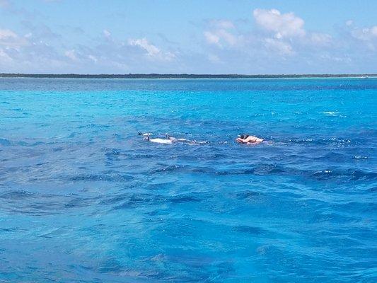 Snorkeling