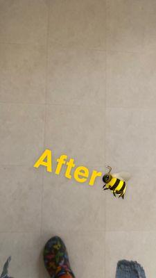 A 2 Bee Cleaning Service