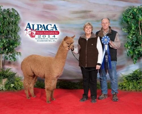 Owners at a show.