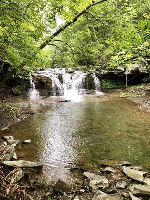 Waterfall in the back of the property