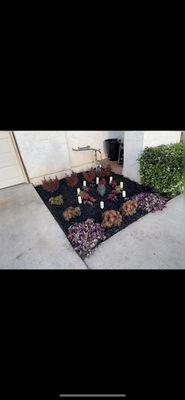 New irrigation system and goth garden landscape