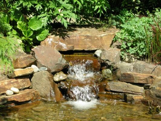 We can design, build, and maintain that perfect water feature for you.