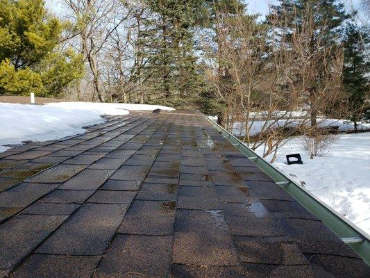 Cupping of shingles.